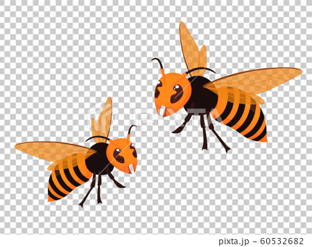 かっこいい スズメバチ 蜂 イラスト 新しい壁紙明けましておめでとうございます21