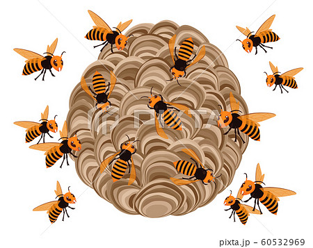 スズメバチの巣のイラスト 蜂がいっぱいのイラスト素材