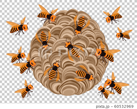 スズメバチの巣のイラスト 蜂がいっぱいのイラスト素材