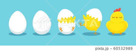 Chicken hatching. Cracked chick egg, hatch eggs and hatched easter chicks cartoon vector illustration Chicken hatching. Cracked chick egg, hatch eggs and hatched easter chicks cartoon vector illustration 60532989
