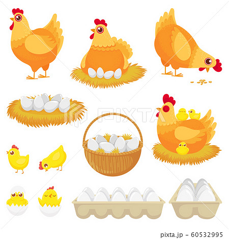 Chicken Eggs Hen Farm Egg Nest And Tray Of のイラスト素材