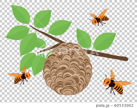 スズメバチの巣のイラスト 枝 3匹のイラスト素材