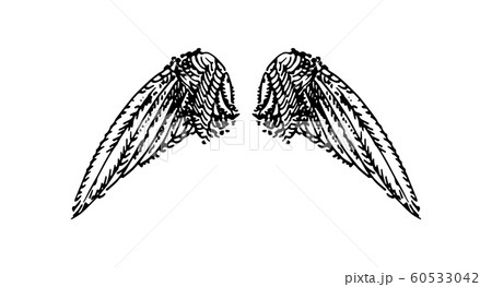 Vector hand drawn illustration of wings on white background. Vector hand drawn illustration of wings on white background. 60533042