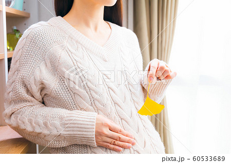 イチョウを持つ妊婦 60533689