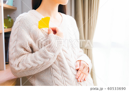 イチョウを持つ妊婦 イチョウを持つ妊婦 60533690