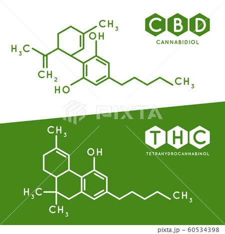 Thc and cbd formula. Cannabidiol and tetrahydrocannabinol molecule structure compound. Medical marijuana molecules vector illustration Thc and cbd formula. Cannabidiol and tetrahydrocannabinol molecule structure compound. Medical marijuana molecules vector illustration 60534398