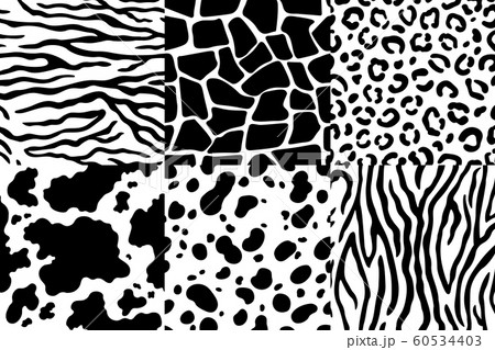 Animal skin pattern. Wildlife zebra texture, tiger skin stripes and leopard spots. Animals textures seamless patterns vector set 60534403