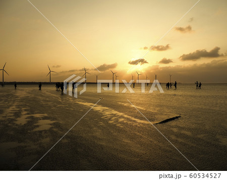 台湾・台中市・高美湿地の夕陽 Gaomei Wetlands, Taichung, Taiwan 60534527