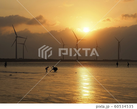 台湾・台中市・高美湿地の夕陽 Gaomei Wetlands, Taichung, Taiwan 60534535