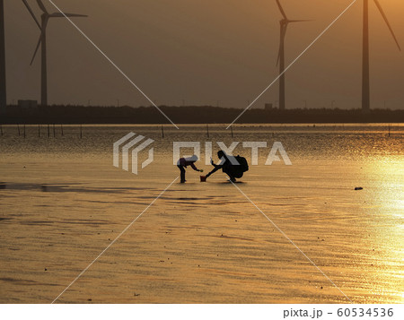 台湾・台中市・高美湿地の夕陽 Gaomei Wetlands, Taichung, Taiwan 60534536