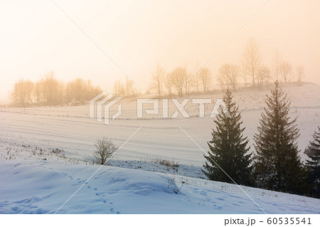 mountainous countryside in fogmountainous mountainous countryside in fogmountainous 60535541