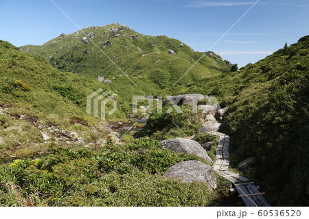 屋久島 最高峰宮之浦岳 翁岳水場からの眺望 屋久島 最高峰宮之浦岳 翁岳水場からの眺望 60536520