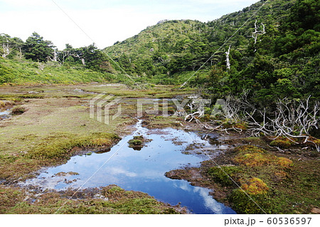 屋久島宮之浦岳山頂への道　花之江河から黒味岳を望む 60536597