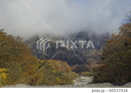 蒜山高原 60537016