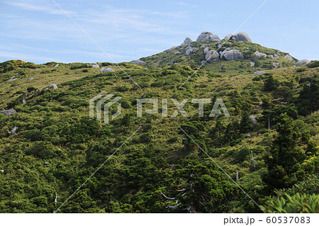 屋久島　最高峰宮之浦岳　山頂への道 60537083