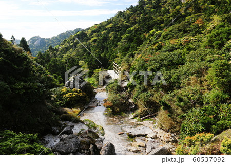 屋久島 最高峰宮之浦岳 山頂への道 屋久島 最高峰宮之浦岳 山頂への道 60537092
