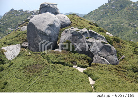屋久島　最高峰宮之浦岳　山頂への道　 60537169