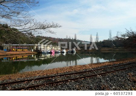 ドイツの森 60537293