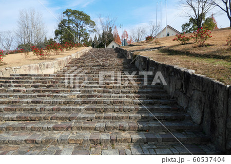 ドイツの森 60537404