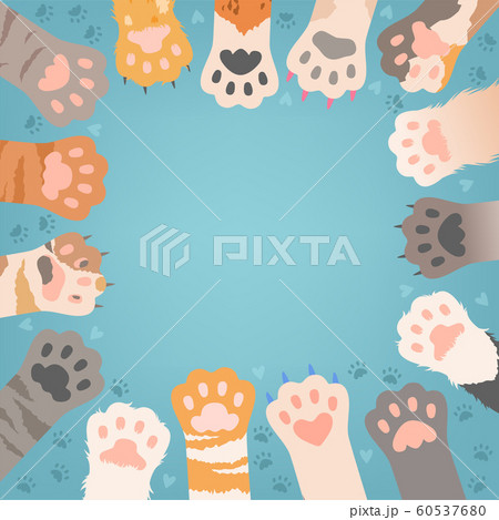 Cats paw background. Funny domestic kitten pets or wild animals different paws with claws vector illustrations 60537680