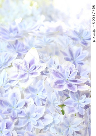 背景素材 アジサイ 万華鏡 青い花の写真素材