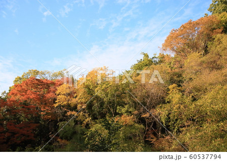 色づく里山 色づく里山 60537794