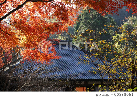 明月院 Meigetsuin temple 明月院 Meigetsuin temple 60538061