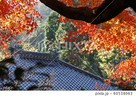 明月院  Meigetsuin temple 60538063
