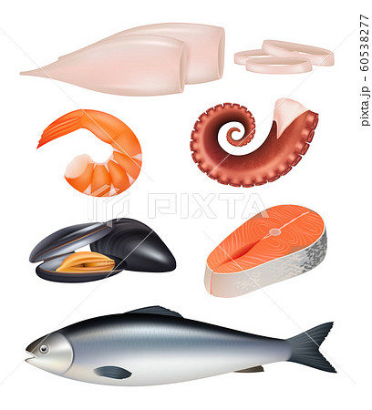 Seafood. Meal of fish octopus natural protein diet food vector 3d realistic illustration 60538277