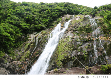 屋久島　滝百選　大川の滝 60538331