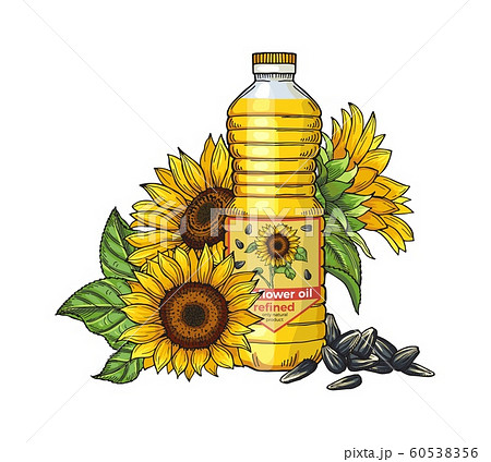 Sunflower oil sketch. Vector seeds, sunflowers and oil bottle isolated on white background Sunflower oil sketch. Vector seeds, sunflowers and oil bottle isolated on white background 60538356