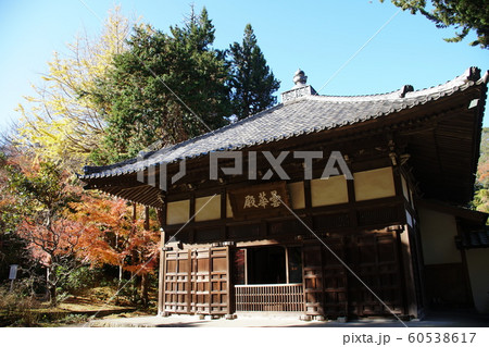 浄智寺  Jyoutiji temple 60538617