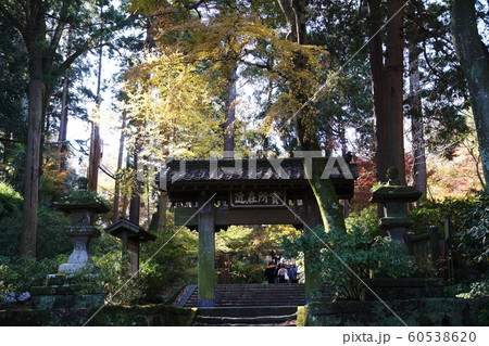 浄智寺 Jyoutiji temple 浄智寺 Jyoutiji temple 60538620