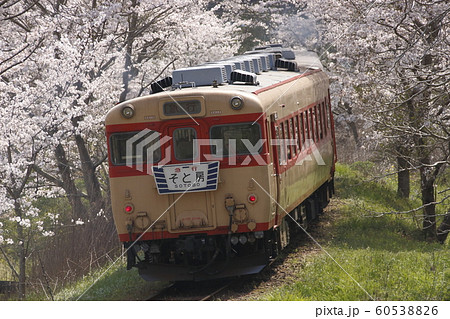 桜咲く、いすみ鉄道の急行列車 60538826