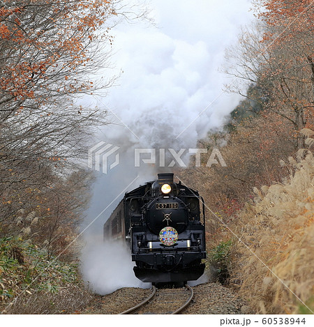 晩秋の磐越西線SL 60538944