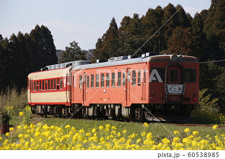 いすみ鉄道キハ52+キハ28 いすみ鉄道キハ52+キハ28 60538985