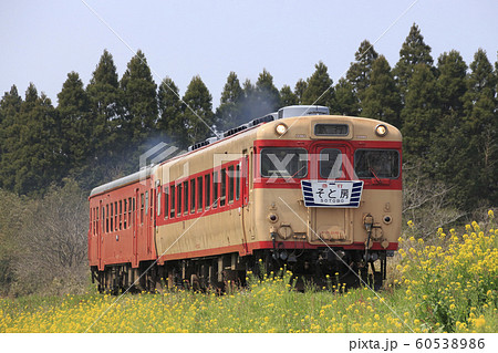 いすみ鉄道キハ52+キハ28 いすみ鉄道キハ52+キハ28 60538986