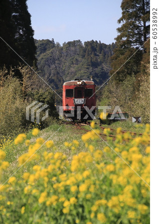 いすみ鉄道キハ52+キハ28 60538992