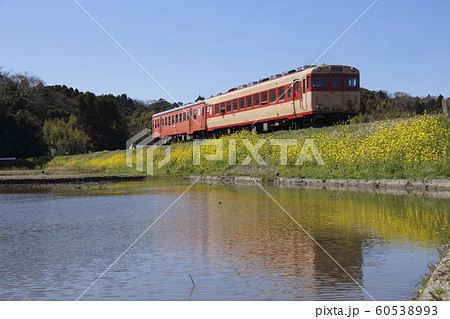 いすみ鉄道キハ52+キハ28 いすみ鉄道キハ52+キハ28 60538993