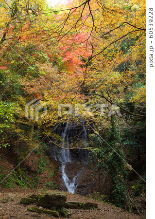 音無しの滝の紅葉 音無しの滝の紅葉 60539228
