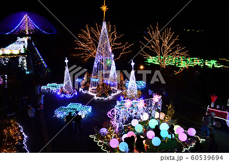 イルミネーション・鳥取花回廊 60539694