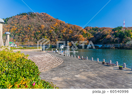 神奈川県立相模湖公園　相模原市 60540996