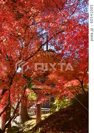 紅葉の大法寺境内 紅葉の大法寺境内 60541005