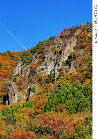 霊山の紅葉 60541581