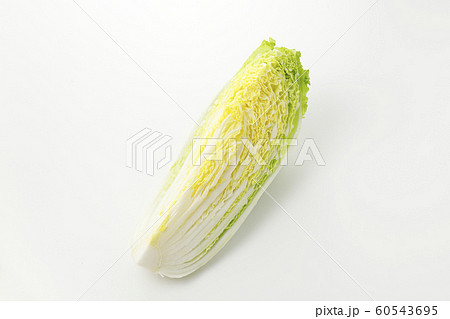 白菜 白菜 60543695