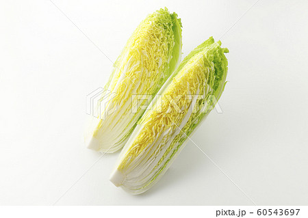 白菜 60543697