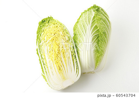 白菜 白菜 60543704