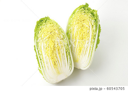 白菜 白菜 60543705