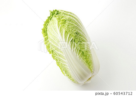 白菜 白菜 60543712