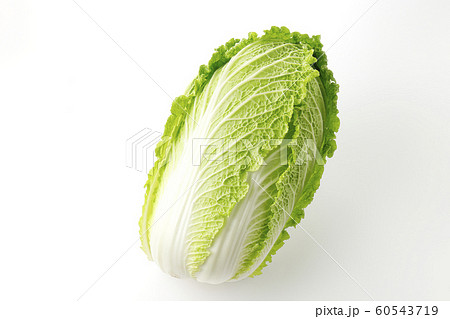 白菜 60543719